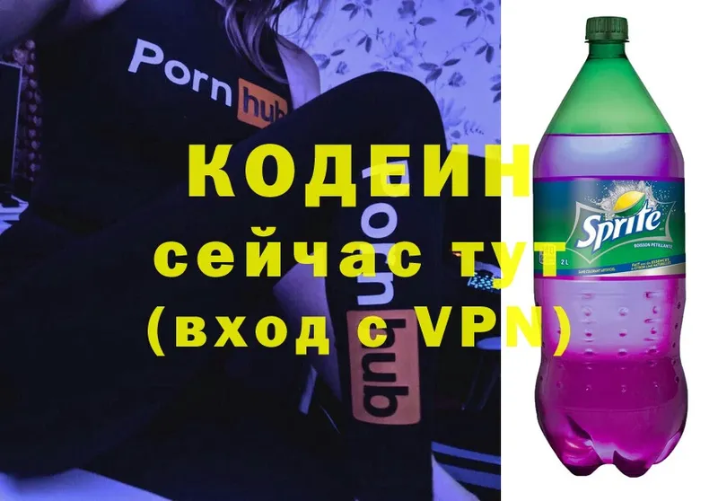 ссылка на мегу зеркало  Микунь  Кодеиновый сироп Lean Purple Drank  купить закладку 